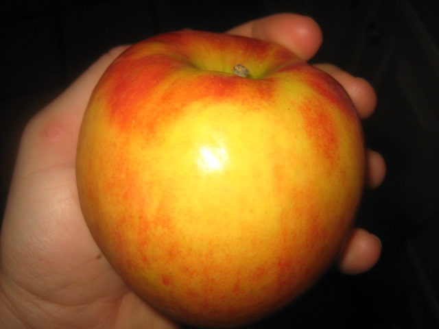img_3955 img_3955
