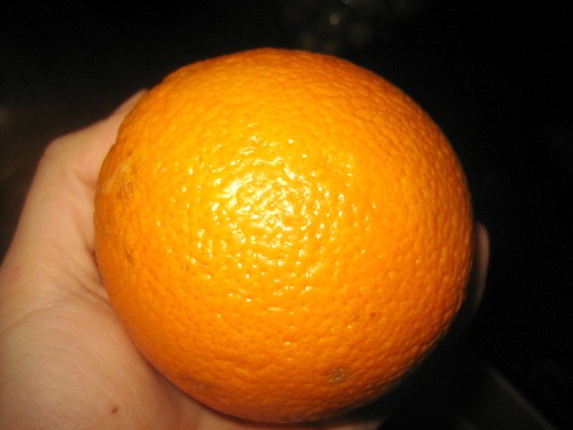 img_47051 img_47051