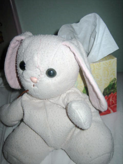 img_5415 img_5415