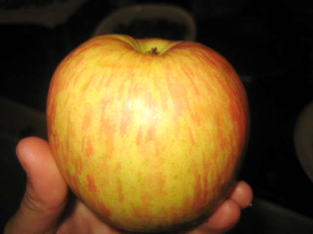 img_5561 img_5561