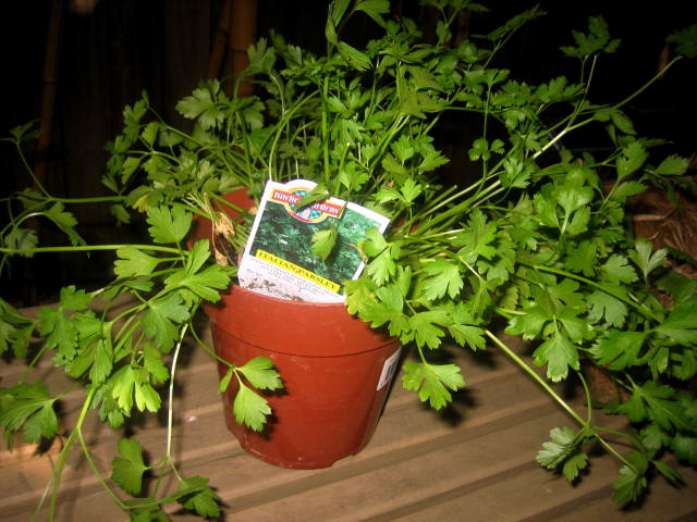 img_5590 img_5590