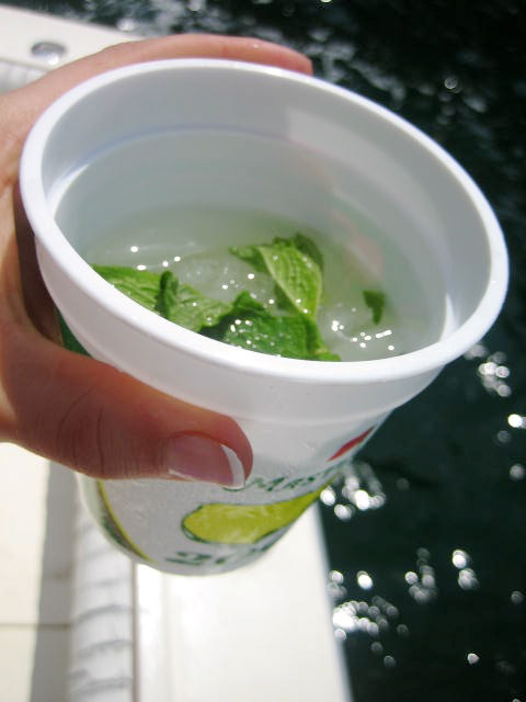img_6513 img_6513