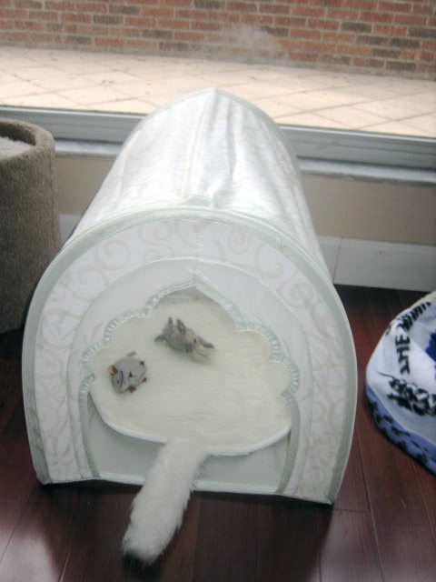img_7046 img_7046
