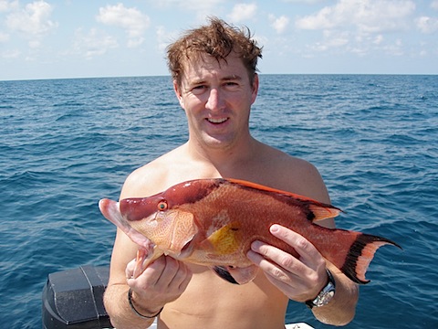 ceviche.jpg