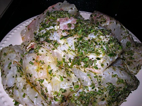 IMG_0909.JPG
