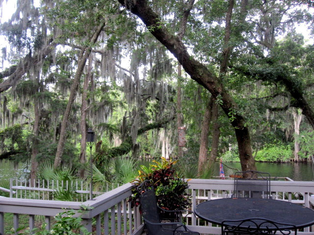 img_1324 img_1324