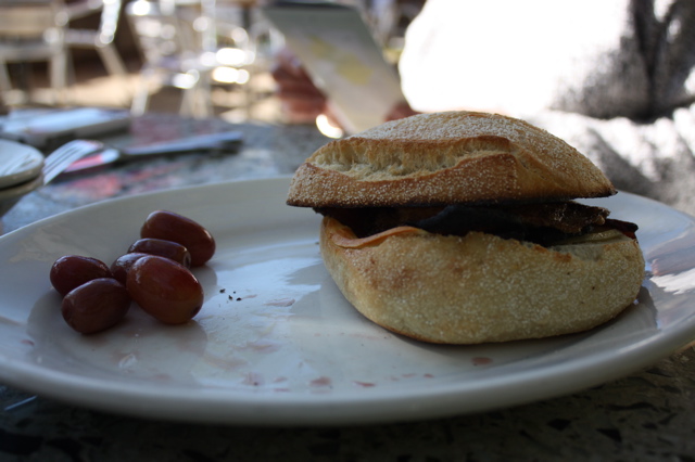 IMG_1642 IMG_1642