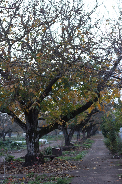 IMG_2684 IMG_2684