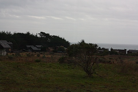 IMG_3368.JPG