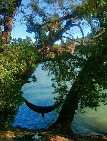 photo(9)