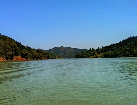 photo(6)