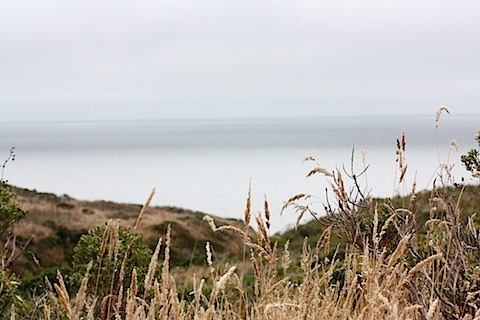 IMG_1427